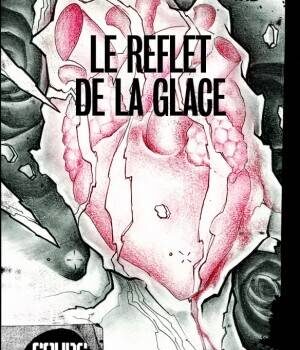 «Le reflet de la glace» de Geneviève Drolet: sexe, confidences et triangle amoureux