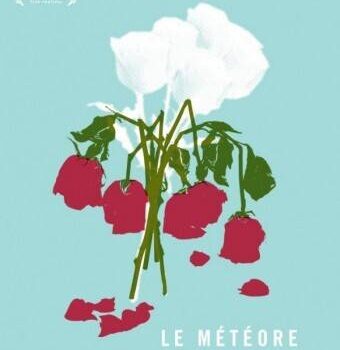 «Le météore» de François Delisle: de la beauté dans le néant