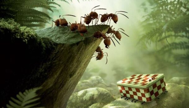 «Minuscule: La vallée des fourmis perdues 3D» de Thierry Szabo et Hélène Giraud