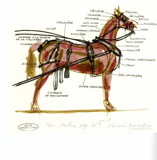 L’exposition «Des chevaux et des hommes» à Pointe-à-Callière