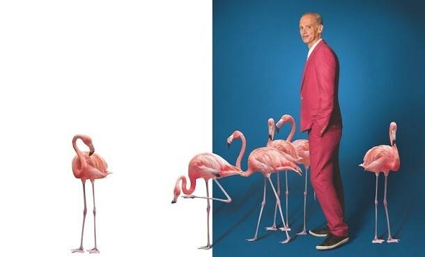JohnWaters-KingofCool-pink flamingos