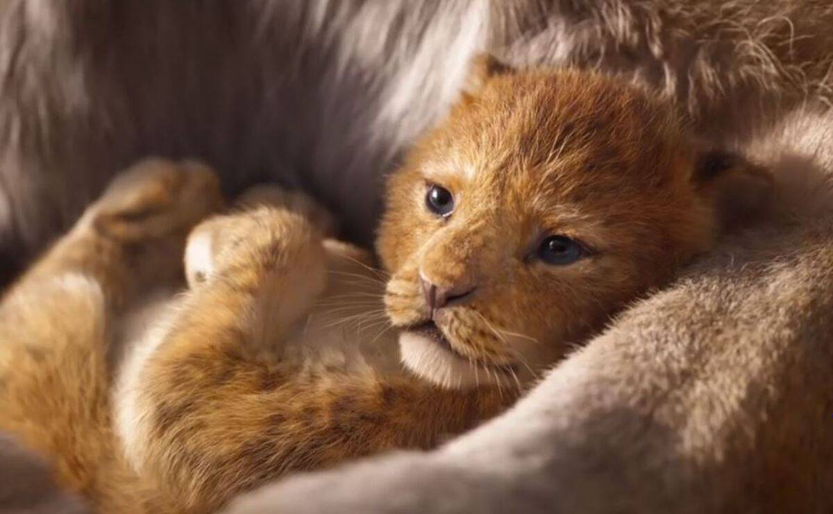 Disney dévoile la bande-annonce du film d’animation «Le Roi Lion» de Jon Favreau prévu pour l’été 2019