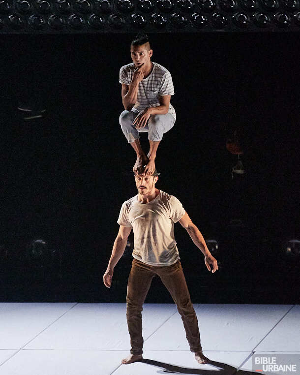 «SOMOS» d’El Nucleo à la TOHU lors de Montréal Complètement Cirque