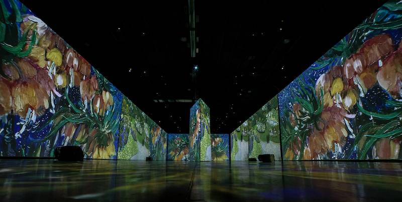L’expo «Imagine Van Gogh» à Montréal: dans la féerie du maître néerlandais