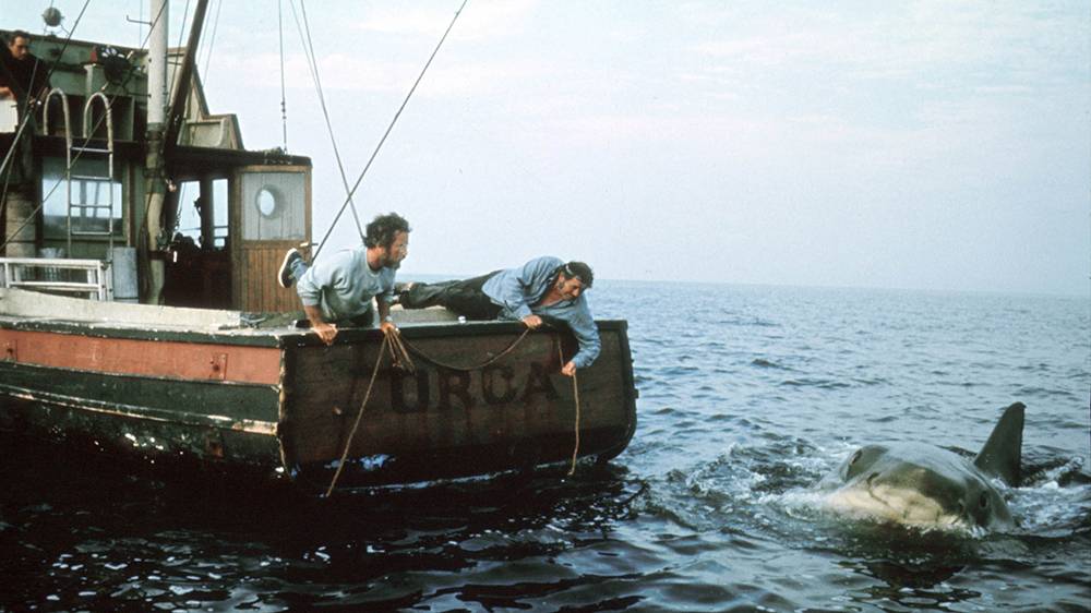 «Zoom sur un classique»: Jaws de Steven Spielberg