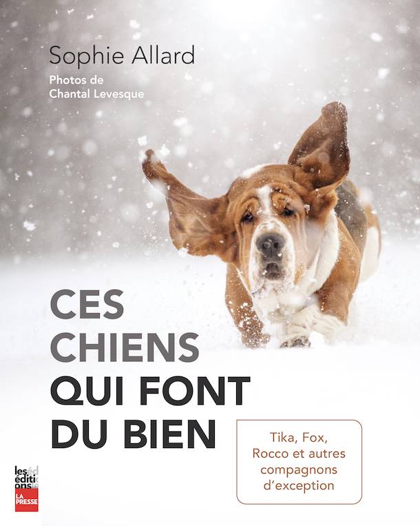 CesChiensFontBien-couverture-Sophie-Allard