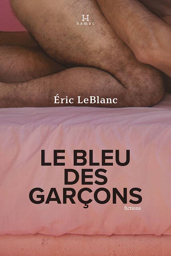 la-petite-anecdote-d'Éric-Leblanc-Le-Bleu-Des-Garçons-Bible-urbaine