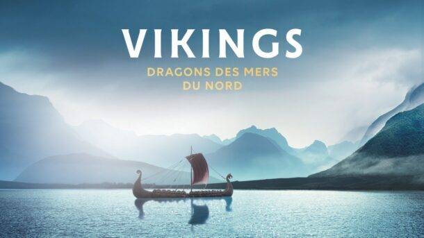 vikings-exposition-musee-pointe-a-calliere