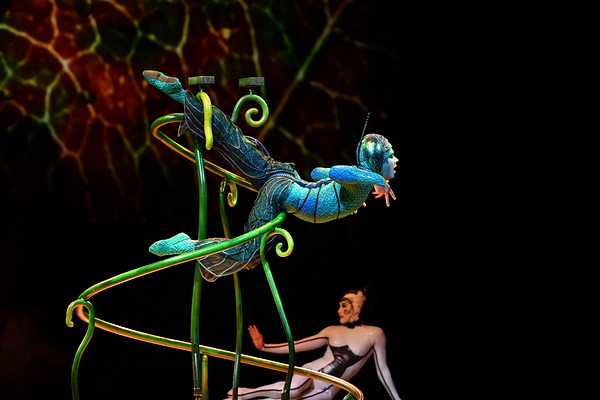 Il y avait de la magie dans l’air à la première d’«OVO» du Cirque du Soleil!