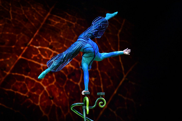 Il y avait de la magie dans l’air à la première d’«OVO» du Cirque du Soleil!