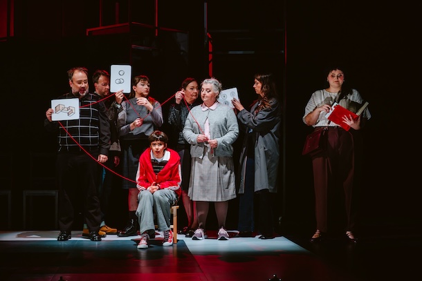«Le bizarre incident du chien dans la nuit», d&rsquo;après le roman de Mark Haddon, au Théâtre du Trident