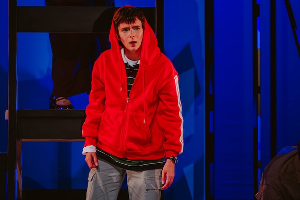«Le bizarre incident du chien dans la nuit», d&rsquo;après le roman de Mark Haddon, au Théâtre du Trident