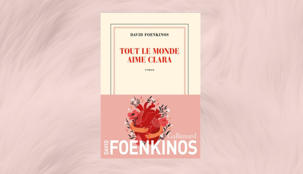 Critique-Tout-le-monde-aime-Clara-David-Foenkinos-Gallimard
