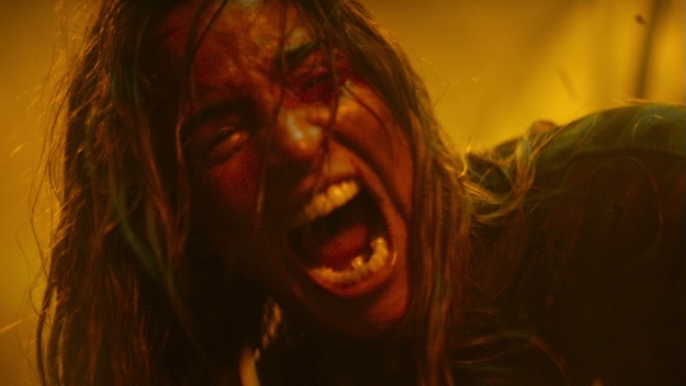 «Evil Dead Burn» de Sébastien Vaniček: un nouvel opéra de la terreur aux racines françaises